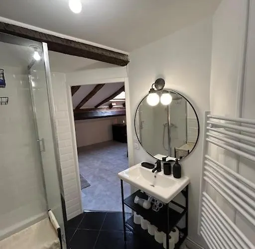 Apartament Le Cozy, Jean Jaures Tuluza